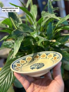 Dĩa 1 Lòng 7 plate nang ceramics